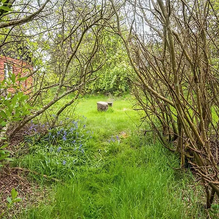 Secluded Retreat By Limfjorden - By Traum *